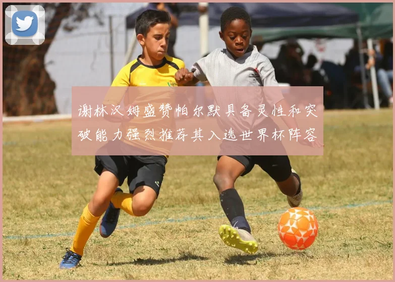谢林汉姆盛赞帕尔默具备灵性和突破能力强烈推荐其入选世界杯阵容