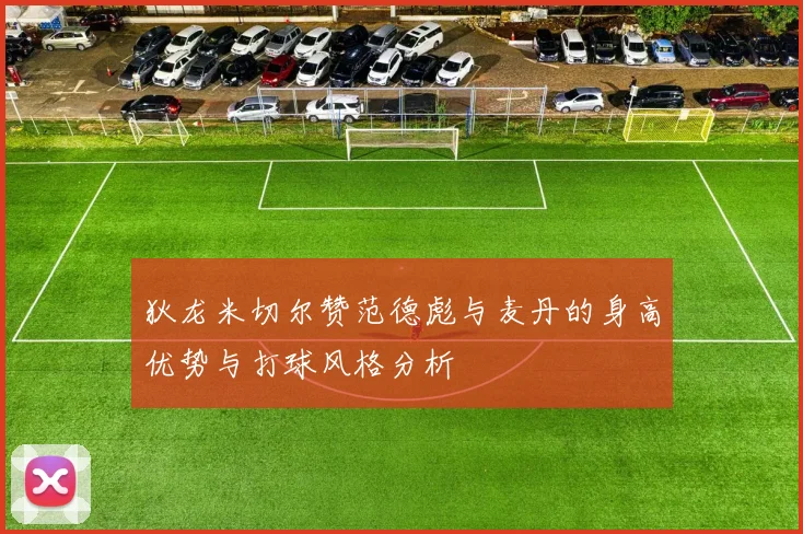 狄龙米切尔赞范德彪与麦丹的身高优势与打球风格分析